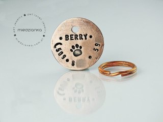 Ø25mm Adresówka z miedzi dla średniego psa