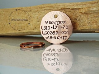 Ø32mm Adresówka dla psa bez oksydy Fancy Letters