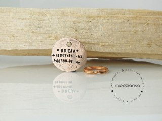 Ø25mm Adresówka MICROCHIPPED / MAM CHIP