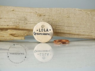 Ø25mm Adresówka dla psa Minimal [brąz]