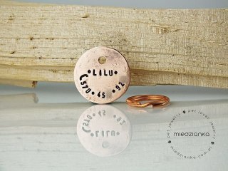 Ø25mm Adresówka dla psa Minimal miedź