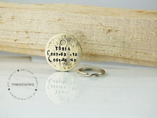 Ø25mm Dwustronna adresówka z adresem [mosiądz]