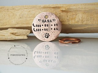 Ø32 mm Dwustronna adresówka dla psa z adresem