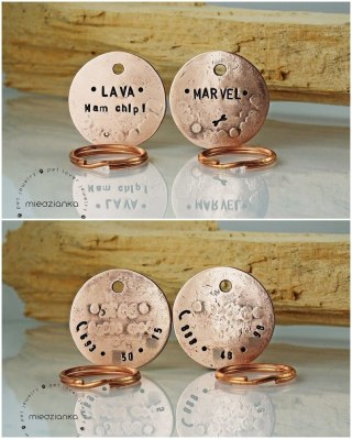Ø32mm Set Minimal - Adresówki dwustronne dla psa